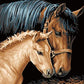 Horse with Baby Paint by Numbers