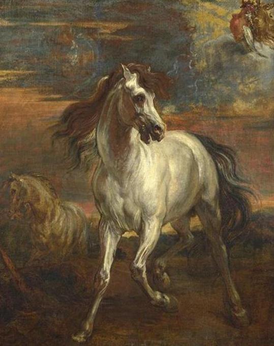 Anthony Van Dyck Horse Painting by Numbers
