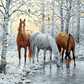 Horses at the Lake Paint by Numbers