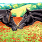 Horses Pair DIY Painting Kit