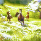 Horses in Meadows Paint by Numbers