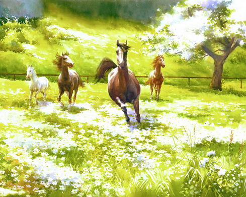 Horses in Meadows Paint by Numbers