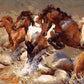 Horses Running Paint by Numbers