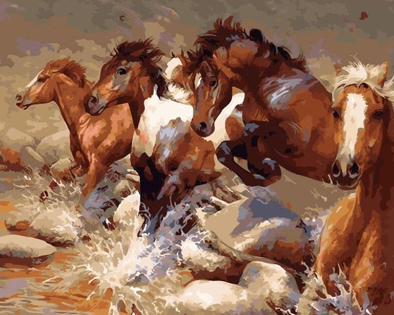 Horses Running Paint by Numbers