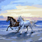 Horses Painting by Numbers