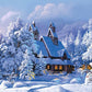 Winter House Paint by Numbers