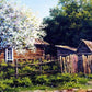 Village House Paint by Numbers