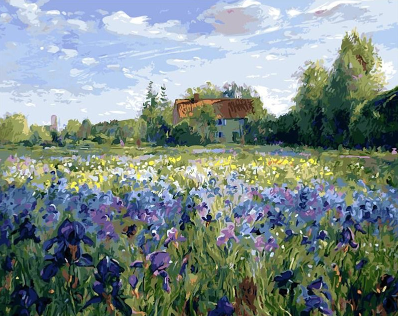 PIPISKY Paint by Numbers Kit for Adults Flowers,Snow and Flowers,Capture  The Wonderful Moments of Summer's Flower Sea Through Art,40x50cm,Without  Frame : : Home