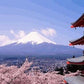 Japan Panorama Paint by Numbers
