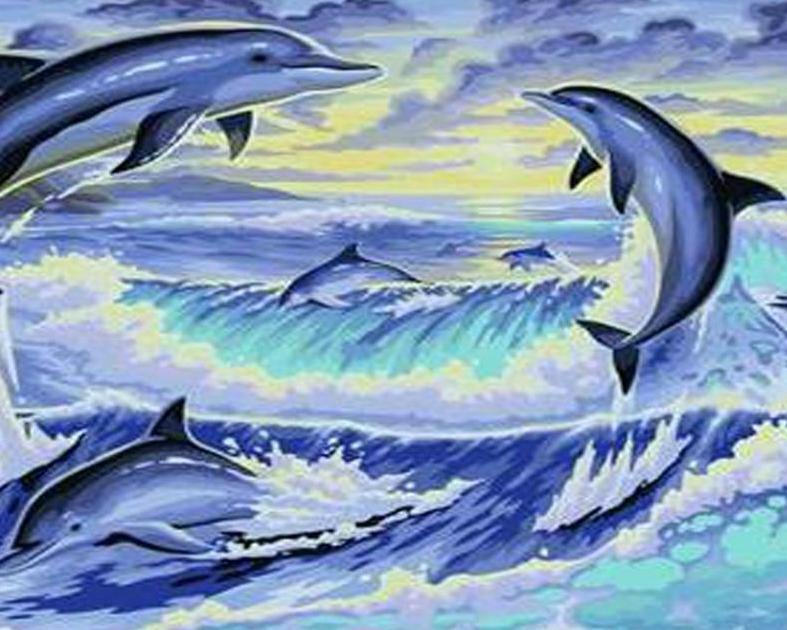 Jumping Dolphins Paint by Numbers Kit