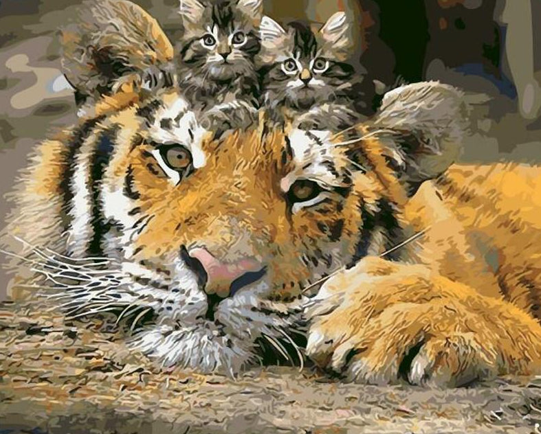 Kittens & Tiger Paint by Numbers