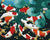 Koi Fish Paint by Numbers Kit