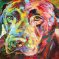Labrador Paint by Numbers