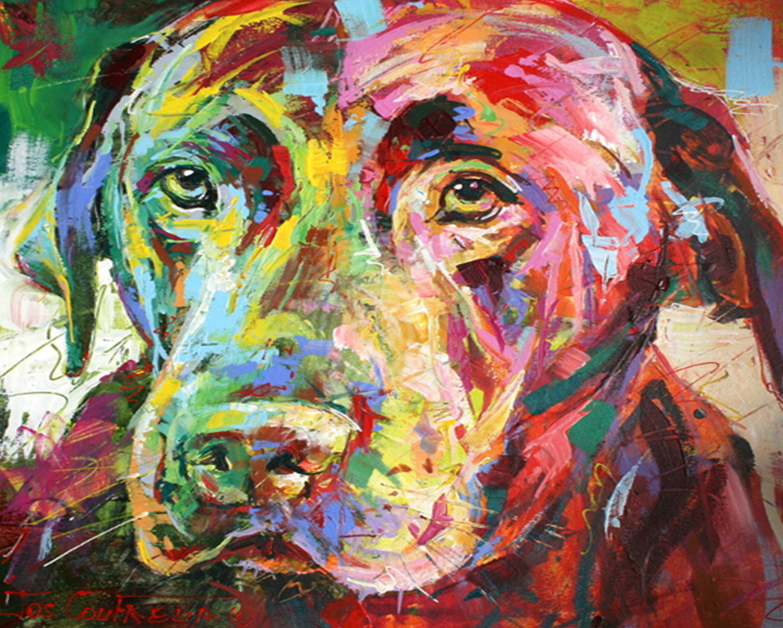 Labrador Paint by Numbers