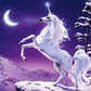 Legend of the Unicorns Paint by Numbers