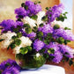 Lilac Bouquet Paint by Numbers