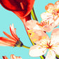 Lily of the Incas Paint by Numbers