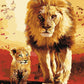 Lion Painting by Numbers