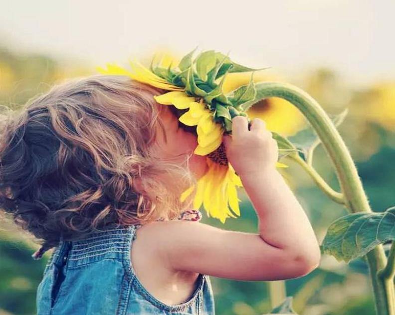Girl & Sunflower Paint by Numbers