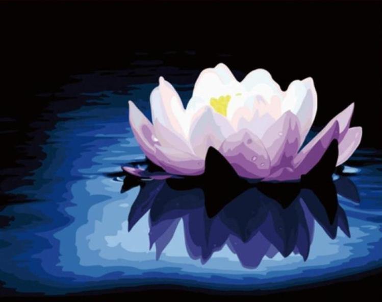 Lotus Acrylic Painting by Numbers