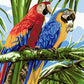 Macaw Parrots Paint by Numbers
