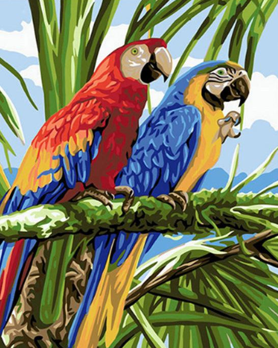 Macaw Parrots Paint by Numbers