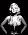 Marilyn Monroe Paint by Numbers