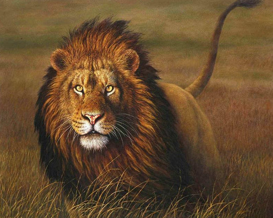 Lion DIY Painting Kit