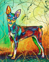 Miniature Pinscher Paint by Numbers