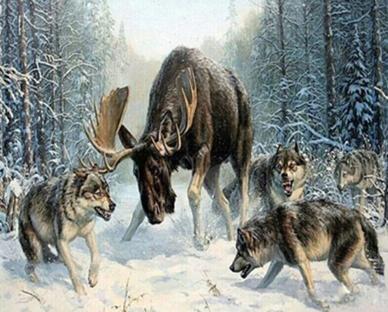 Moose & Wolves Paint by Numbers