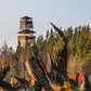 Observation Tower Paint by Numbers