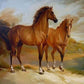 Brown Horses Paint by Numbers