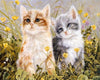  Cute Cats Paint by Numbers