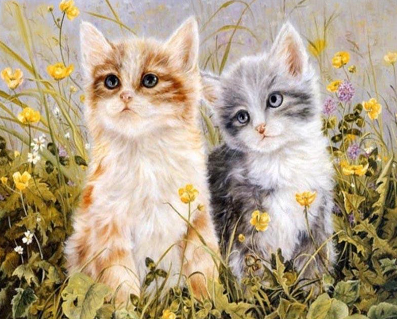  Cute Cats Paint by Numbers