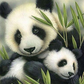 Panda with Baby Paint by Numbers