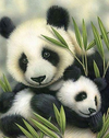 Panda with Baby Paint by Numbers