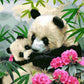 Pandas & Flowers Paint by Numbers