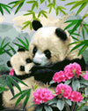 Pandas &amp; Flowers Paint by Numbers