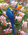 Parrots Paint by Numbers