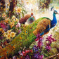 Peacocks Pair Paint by  Numbers