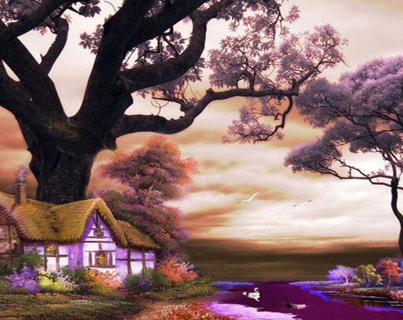 Pink Magical Forest Paint by Numbers