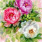 Colorful Peonies Paint by Numbers