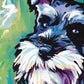  Schnauzer Paint by Numbers