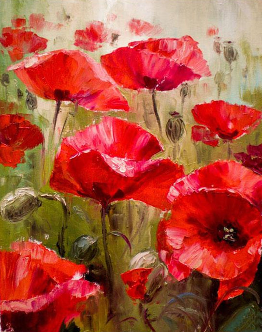 Poppy Flowers Field Paint by Numbers