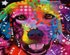 Psychedelic Dog Paint by Numbers