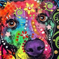 Psychedelic Dog Head Paint by Numbers