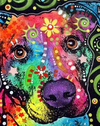 Psychedelic Dog Head Paint by Numbers