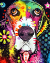 Psychedelic Dog Painting  by Numbers