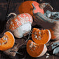 Pumpkin DIY Painting Kit