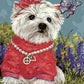 Puppy Paint by Numbers